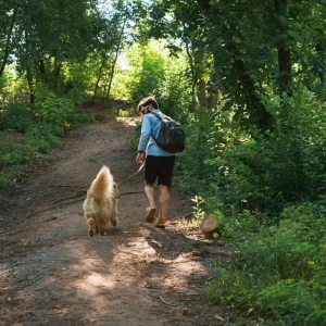 man-hiker-walking-up-on-a-footpath-in-the-forest-E9HB648-1024x683